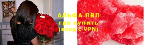 эйфоретик Баксан