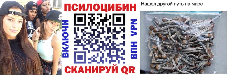 MEGA ССЫЛКА  Светогорск  Галлюциногенные грибы ЛСД 